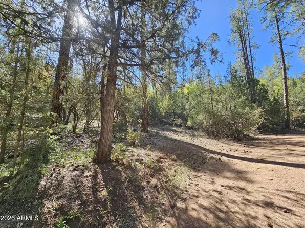 3054 N NEAL Drive #4, Payson, AZ 85541