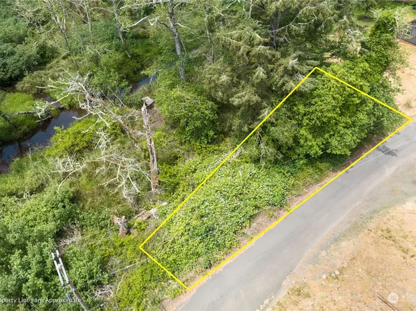 29 XX Alexson Road, Grayland, WA 98547