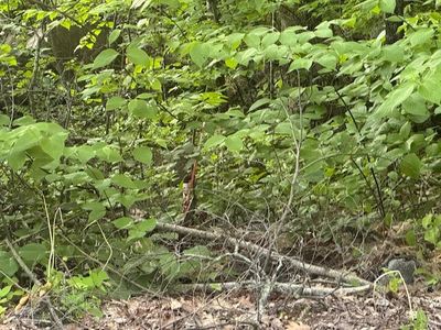 Lot 28 Lakeshore Drive, Belgrade, ME, 04917