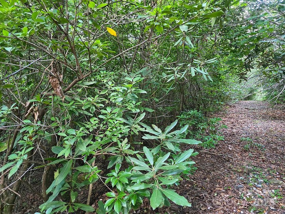 2nd image of 2 W Pine Ridge Rd