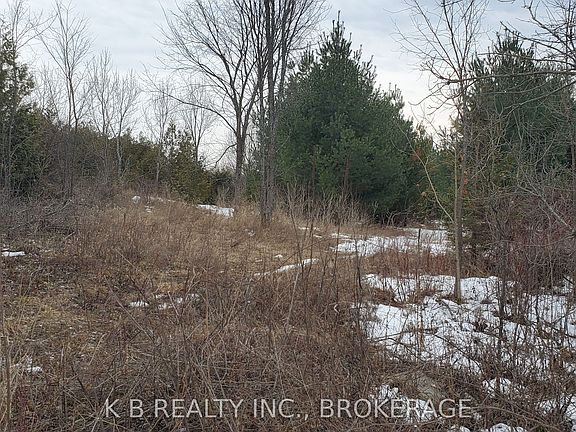 2nd image of 0 Adair Rd