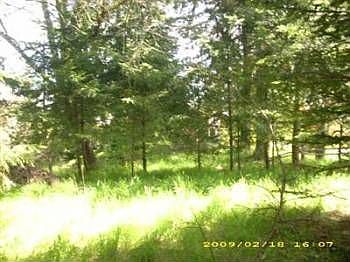 5th image of 850 Eatonville Hwy W
