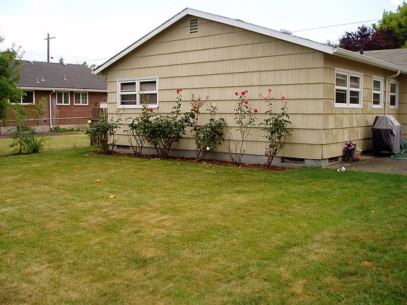 Back yard 