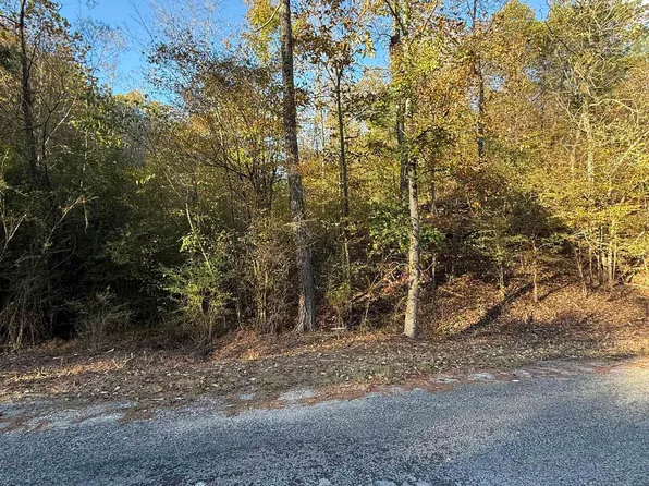 0 County Road 518, Hanceville, AL 35077