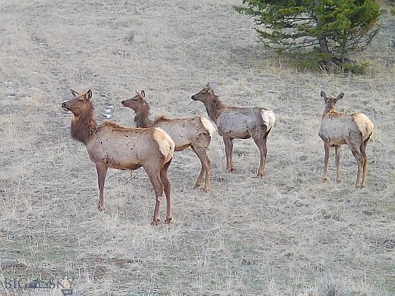3rd image of Lone Pine Gulch Rd