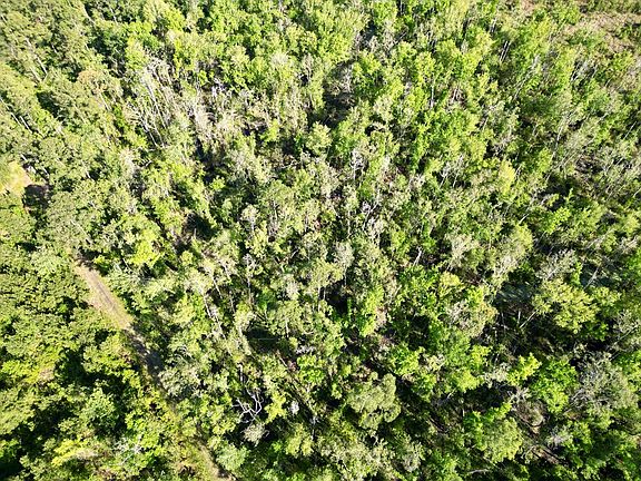 4th image of 6350 Lake Alapaha Blvd