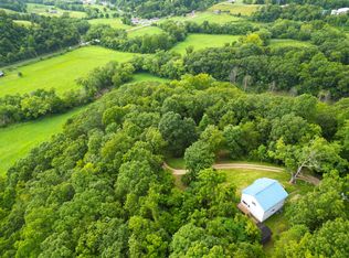 50 Jesses Way, Hamlin, WV 25523