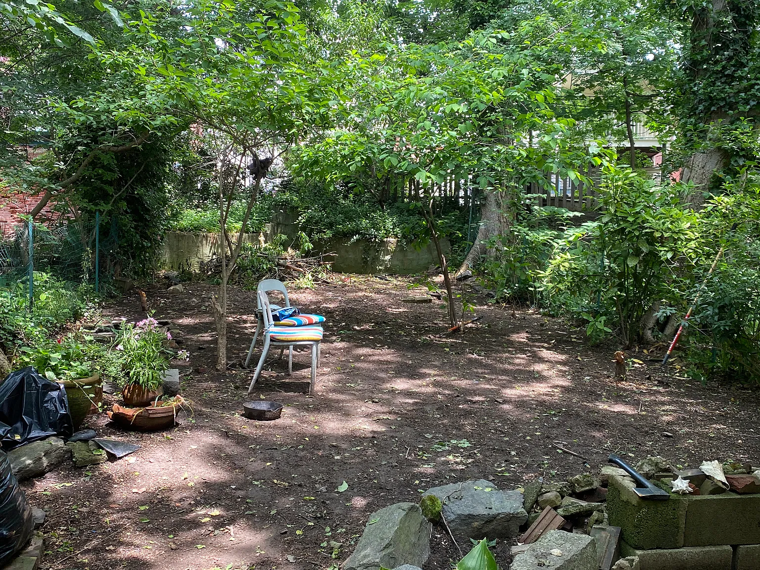 1 bed, 600 sqft, $1,295 — Photo 3