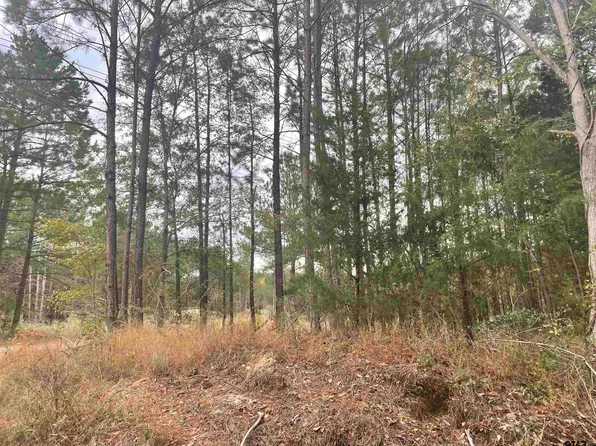 23530 County Road 3118, Winona, TX 75792