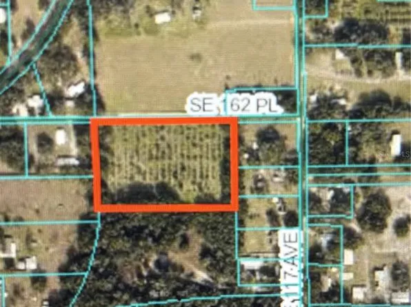 SE 162nd Pl, Weirsdale, FL 32195