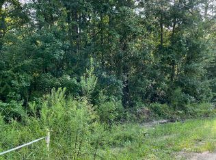 4240 Osceola Trl, Middleburg, FL 32068