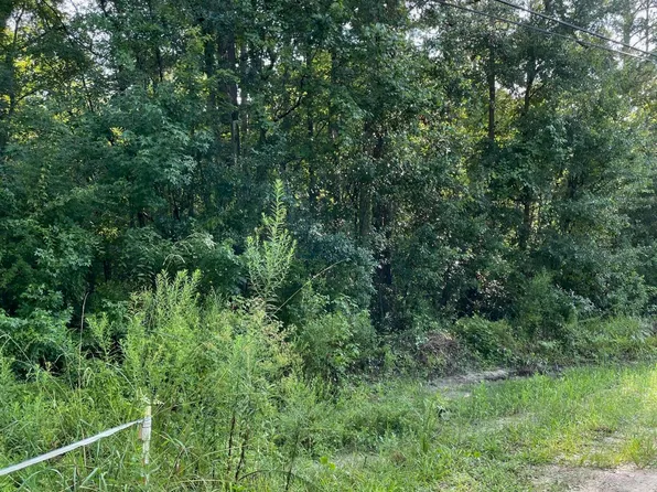 4240 OSCEOLA Trail, Middleburg, FL 32068