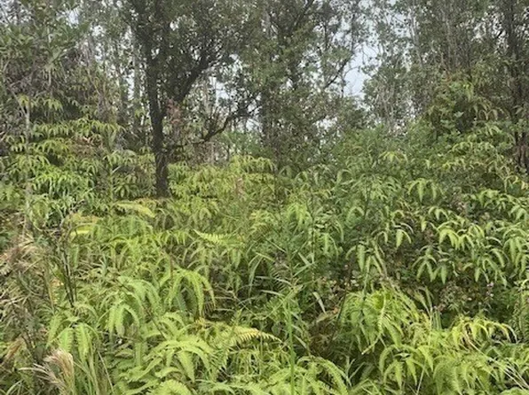 Kokokahi Rd Lot 66, Volcano, HI 96785