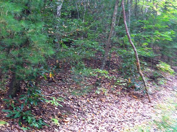 4th image of Bristol Ln