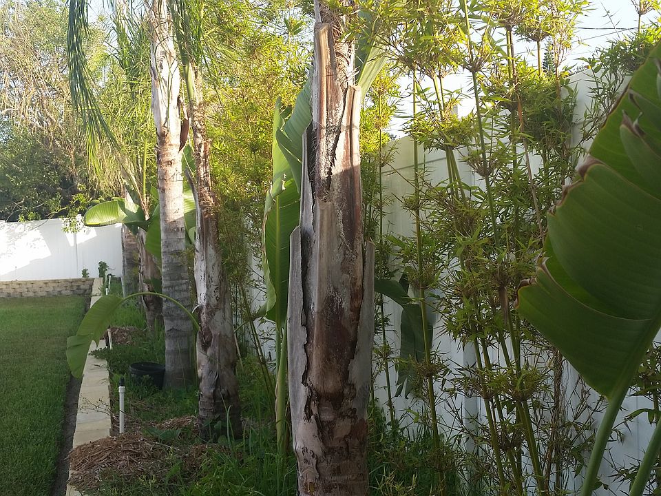 2nd image of 2509 N Peninsula Dr