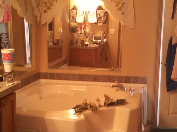 Master bath room garden tub