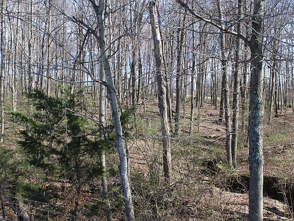 4th image of 1480 Poindexter Rd