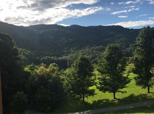 766 S Turkey Creek Rd, Leicester, NC 28748