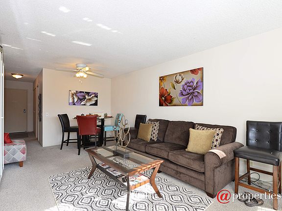 Living Room / Dining Room