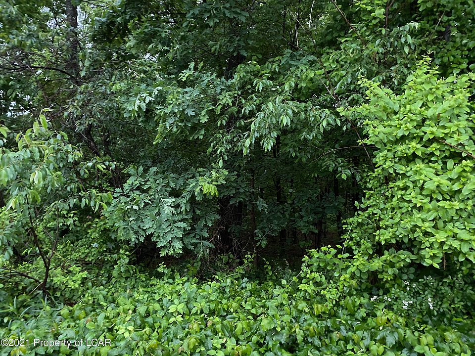 2nd image of 243 Bear Creek Blvd