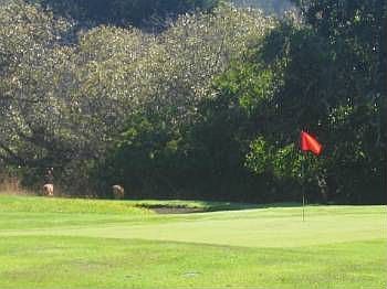 1st image of 41751 Leeward Rd