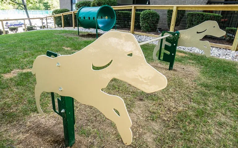 Dog park