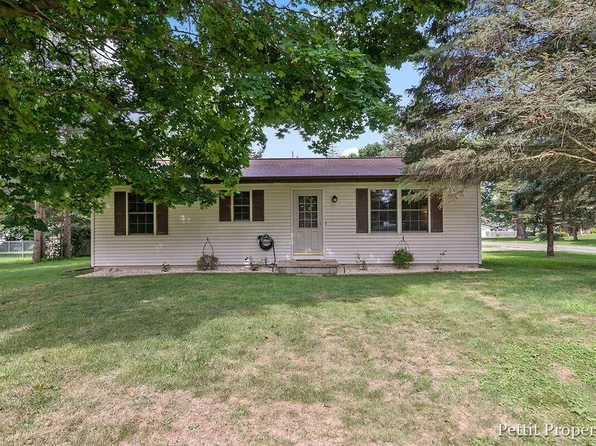 629 Madison St, Bellevue, MI 49021