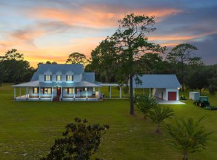 300 Wildberry Farm Ln, Pierson, FL 32180