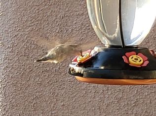 8613 S Triangle O Ranch Pl, Vail, AZ 85641