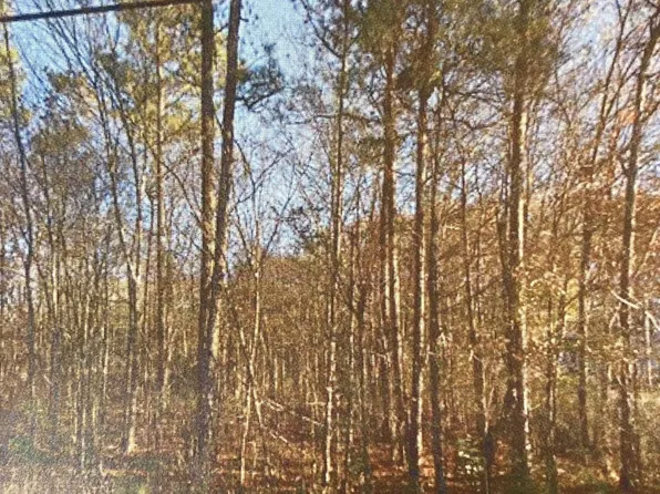 0 Old Sandtown Rd, Cartersville, GA 30121