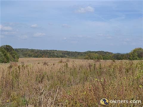 View of Field to the East