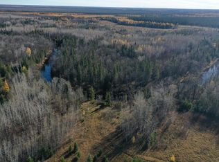 Township Road 98, Loman, MN 56654