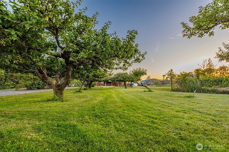 5th image of 13187 Rector Road