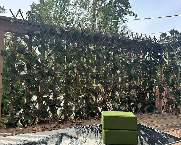 Sterling Pl — Photo 19