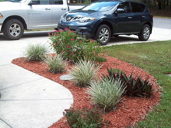 Front landscaping