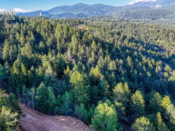 364 Blue Spruce Rd, Divide, CO 80814