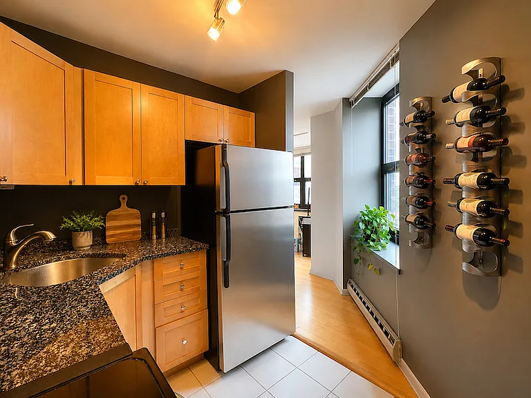 3660 N Lake Shore Dr #713 — Photo 9