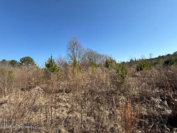 4th image of 532 Mount Zion Rd