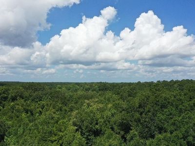 Xx S Lanier Rd, Havana, FL, 32333