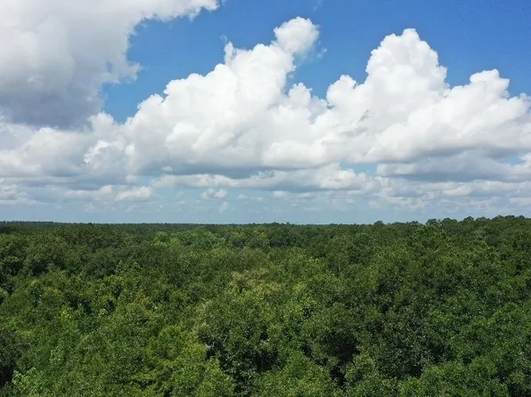 Xx S Lanier Rd, Havana, FL 32333