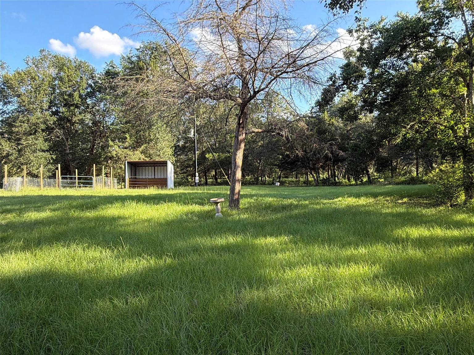 2 bed, 1.0 bath, 960 sqft, $1,650 — Photo 2