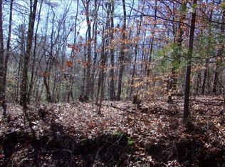 Left Turn, Blue Ridge, GA 30513