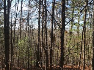 12027 Tails Creek Rd, Ellijay, GA 30540
