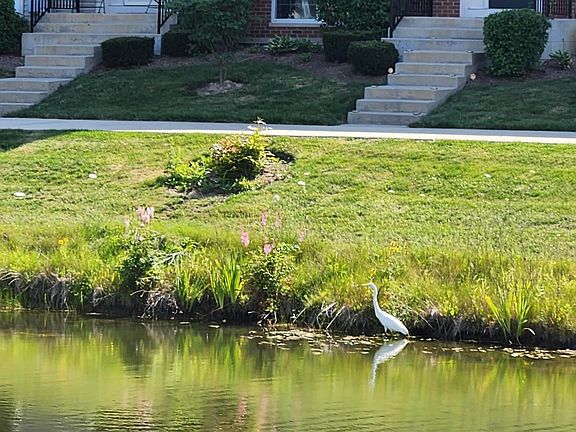 4th image of 257 Lionel Dr