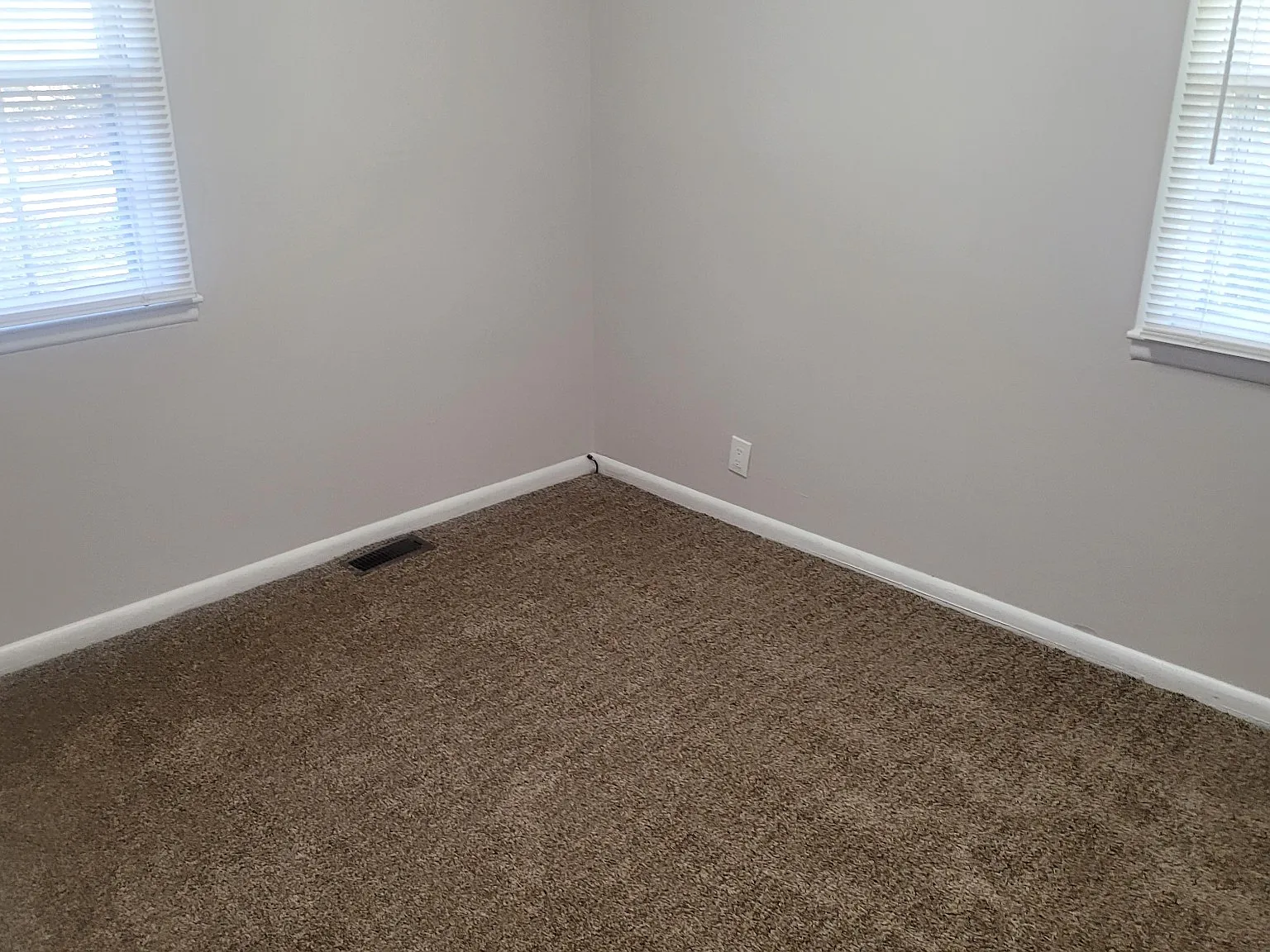 527A Donald St — Photo 3