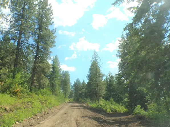 4 Xx A Buffy Ln, Inchelium, WA 99138