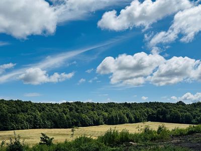 8010 E Horn Rd, Lake Leelanau, MI, 49653