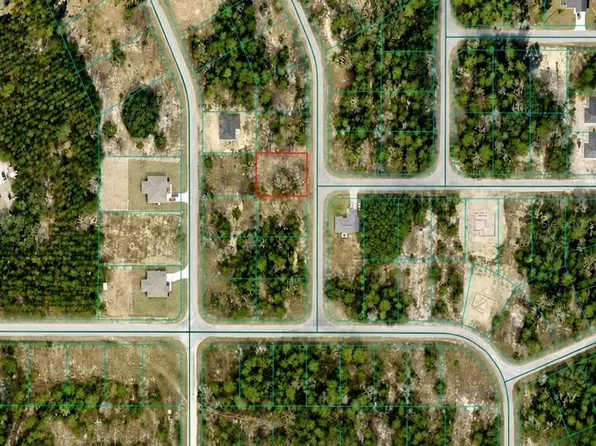 Fisher Run Lot 18, Ocklawaha, FL 32179