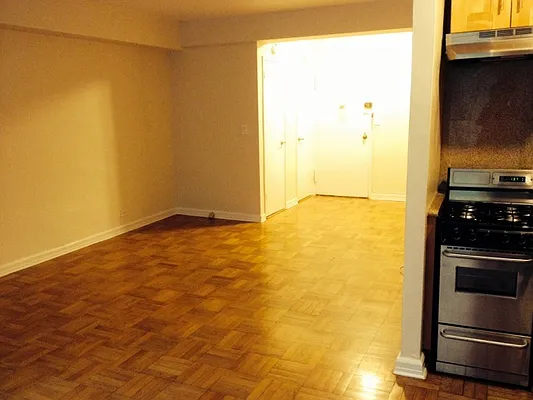 Rented by Luxus Manhattan Realty | media 45