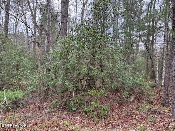 LOT 14 Flats Rd, Tallassee, TN 37878